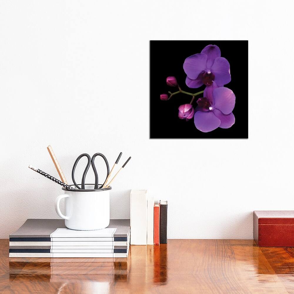 iCanvas "The Color Purple" by Magda Indigo Canvas Print