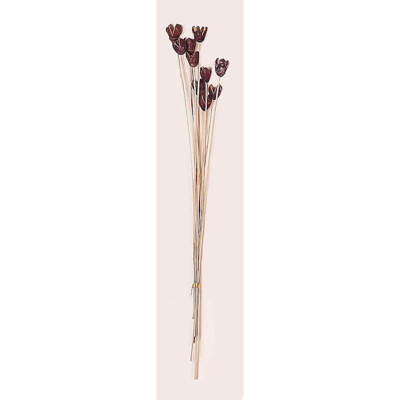 16" Bakuli Pod x 10, Natural, Set of 4 - 16