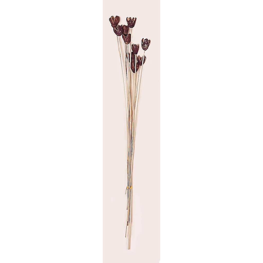 16" Bakuli Pod x 10, Natural, Set of 4 - 16
