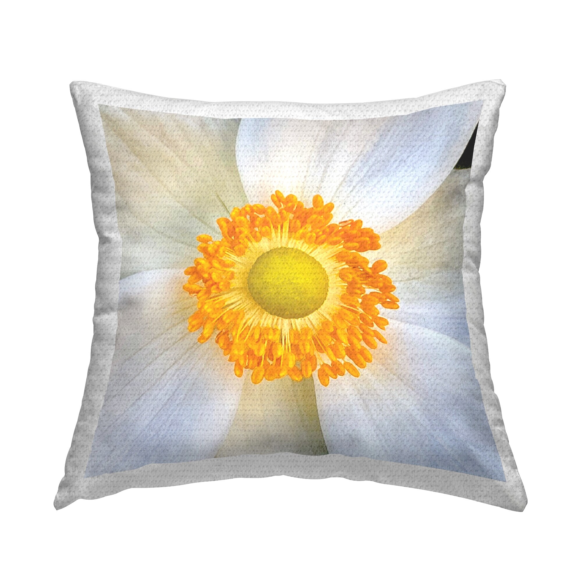 Stupell White Close Up Bloom Printed Outdoor Throw Pillow Design by JG Studios