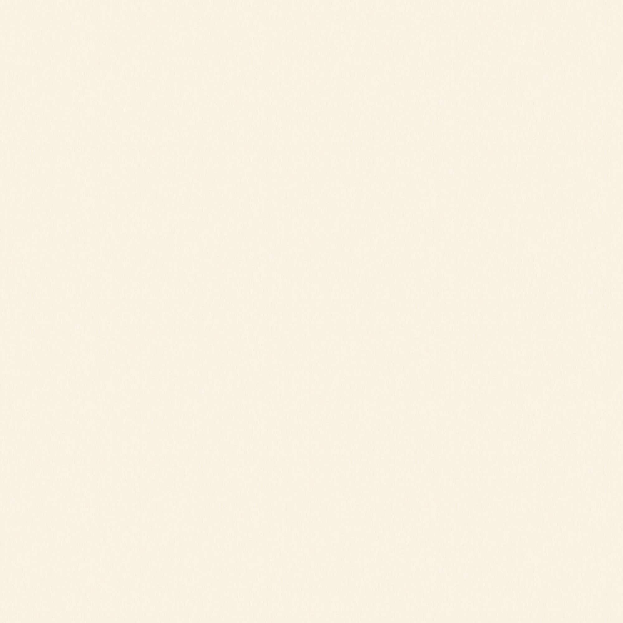 Option Taupe
