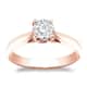 Option Rose