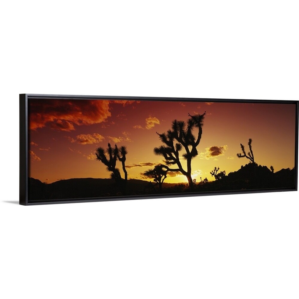Shop Silhouette Of Joshua Trees At Sunset Joshua Tree National