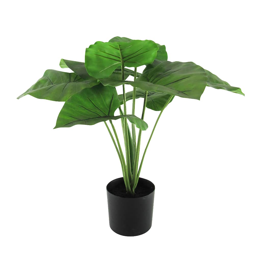 19in Real Touch Artificial Philodendron Ivy Plant in Black Pot - 19" H x 26" W x 22" DP