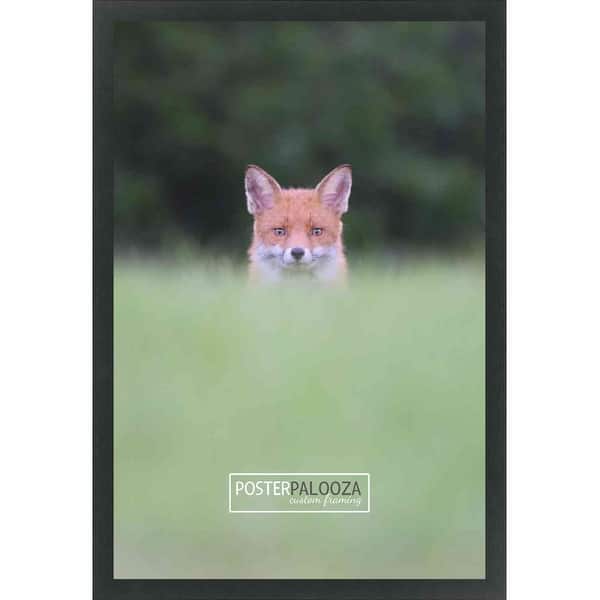 small poster picture frame