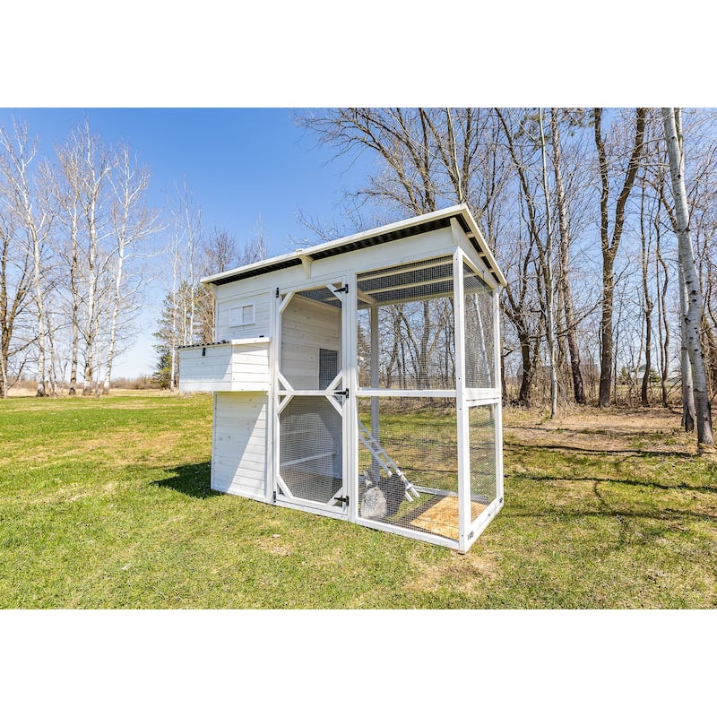 Zylina Modern Walk-in Chicken Coop