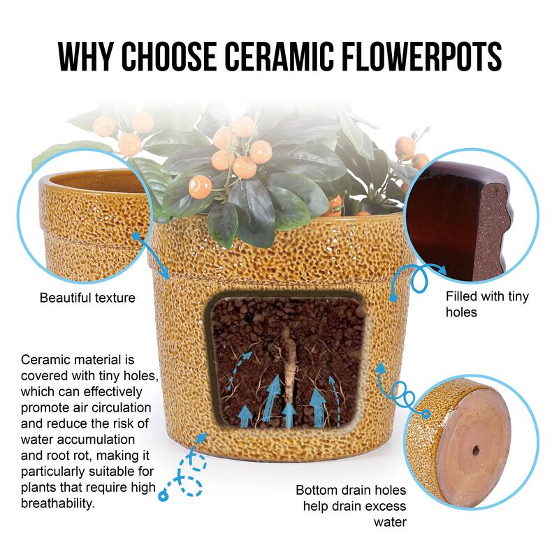 Handmade Ceramic Planter with Speckled Glaze, for Orchids Succulents