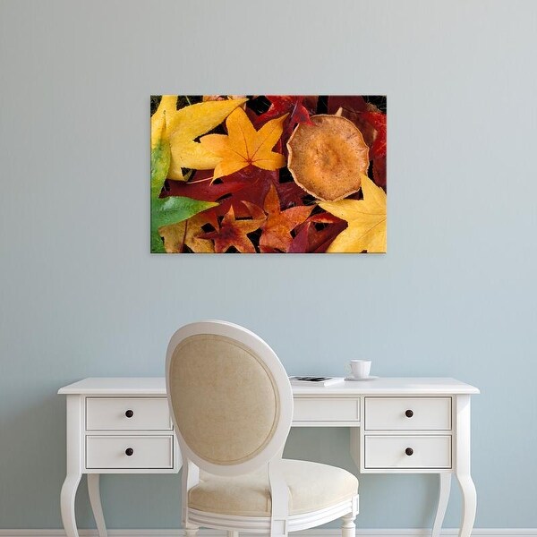 Easy Art Prints Michele Westmorland's 'Fall Leaves And Toadstool' Premium Canvas Art