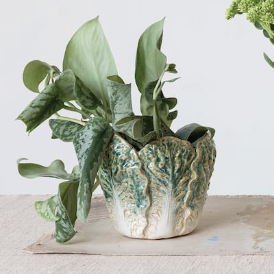 Embossed Stoneware Cabbage Planter with Reactive Glaze - 5.8"L x 5.6"W x 5.0"H