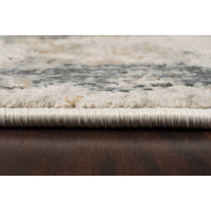 Dynamic Rugs Quartz Traditional Area Rug