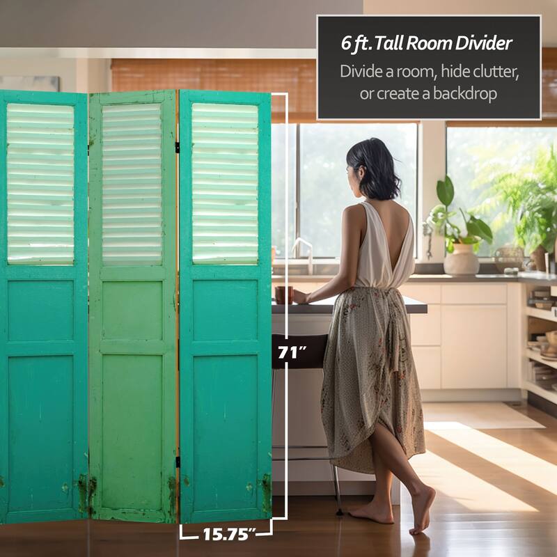 6 ft. Tall Double Sided Distressed Door Panel Canvas Room Divider