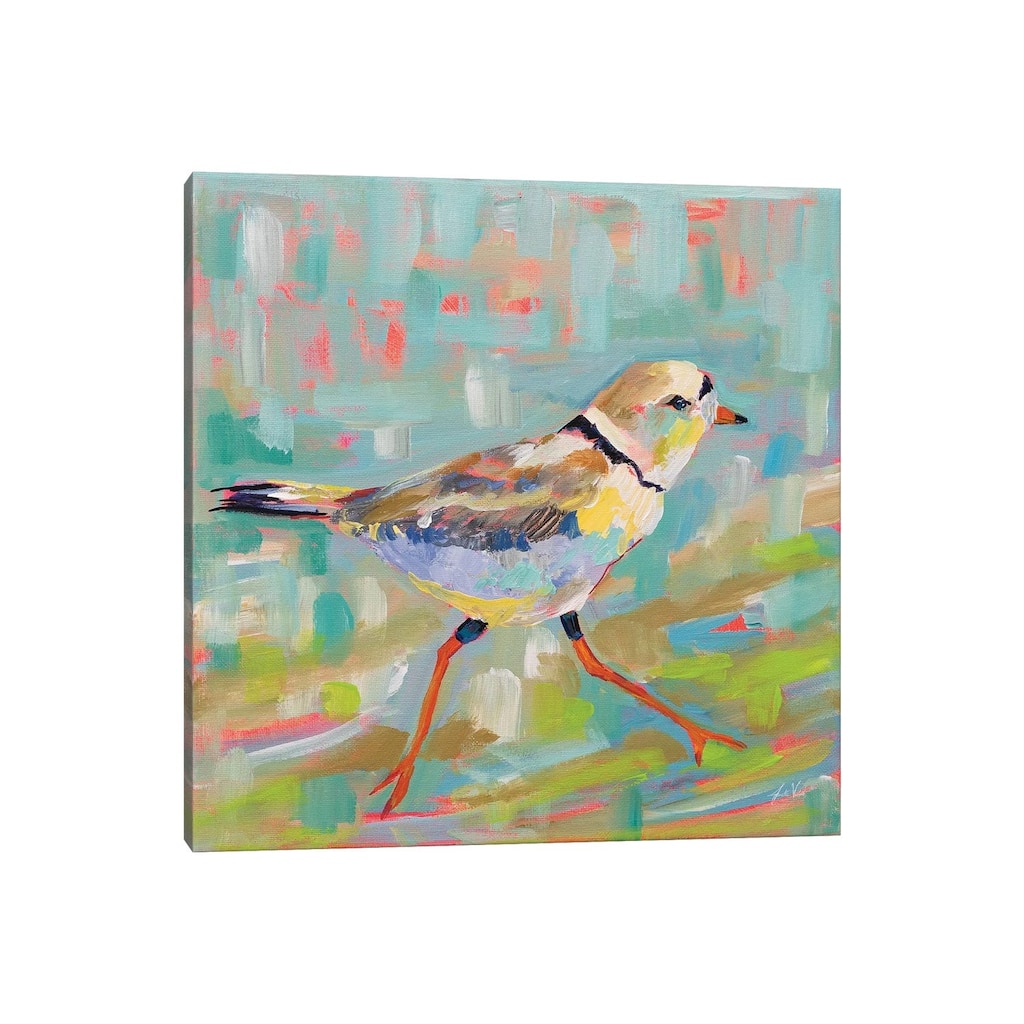 iCanvas "Coastal Plover I" by Jeanette Vertentes Canvas Print