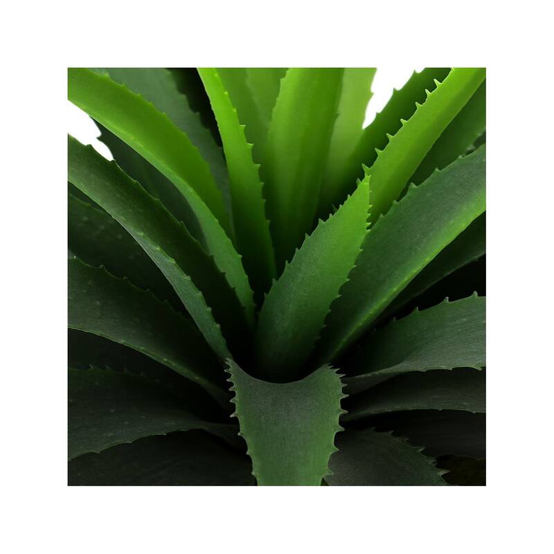 HomeStock Star Succulent in Round Ceramic Planter - Stylish Mini Faux Plant for Desks and Shelves - 14