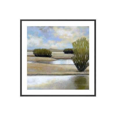 Desert Pools II Framed Print Wall Art by Norman Wyatt Jr.