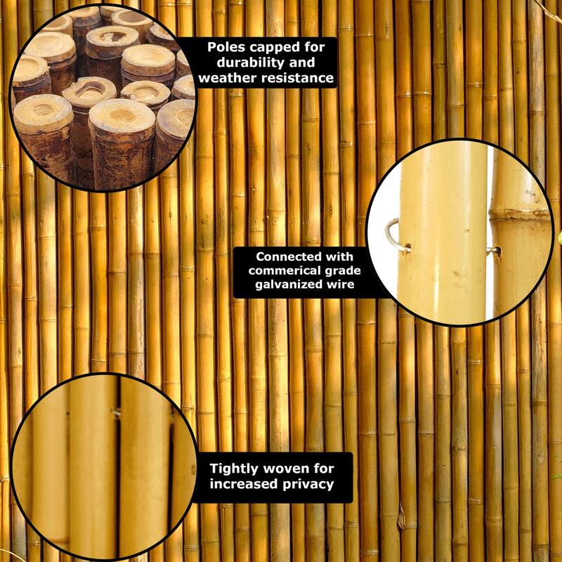 Bamboo Decorative Fence Panel Natural Black 6 ft H x 8 ft L