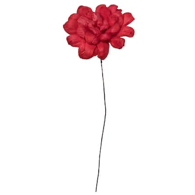 Vickerman Natural Botanicals 6" Red Maize Dahlia. 6 stem/bag. Dried and preserved.