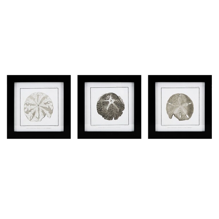 Shop Imax Home A0319215 Cayman Shell Three Panel Wood Framed