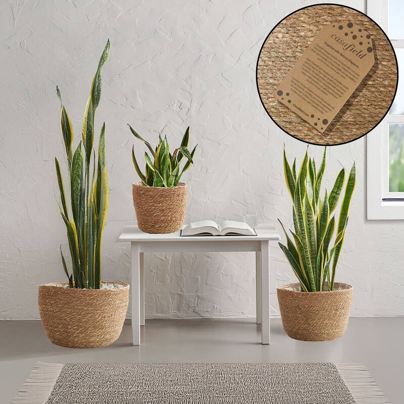 Set of 3 Seagrass Planter Baskets Natural Flower Pot Covers w Liners