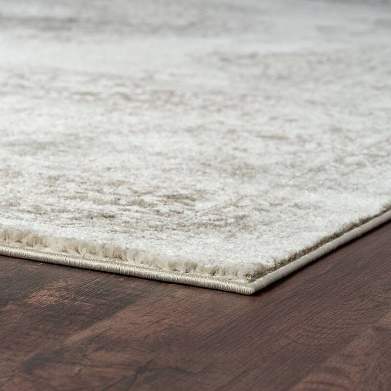 Genesis Farmhouse Medallion Indoor Area Rug