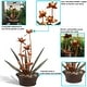 preview thumbnail 8 of 7, Copper Flower Blossoms Outdoor Water Fountain 28" Garden Water Feature