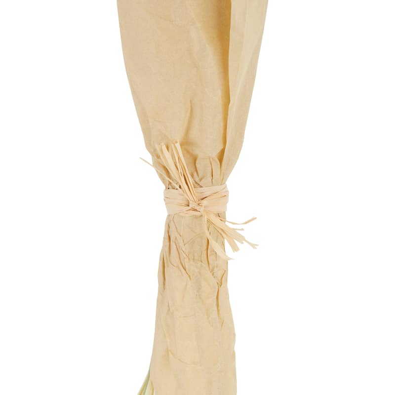 Dried Plant Tall Floral Bouquet Natural Foliage with Cream Stems - Pink or Orange - Roche River Decor