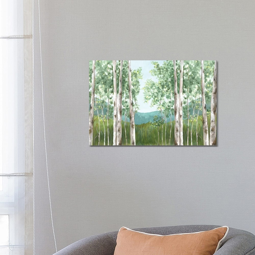 iCanvas "Behind Mountains" by Eva Watts Canvas Print