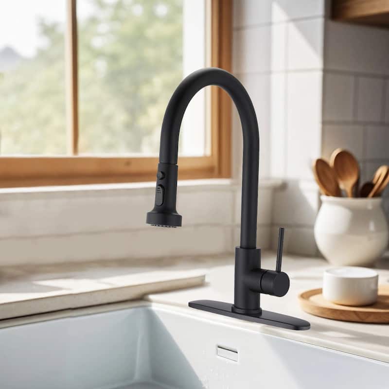 Topcraft Pull Down Single Handle Kitchen Faucet with Baseplate