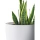 preview thumbnail 35 of 59, Kante 18 Inch Dia Round Concrete Planter, Indoor Outdoor Large Plant Pot