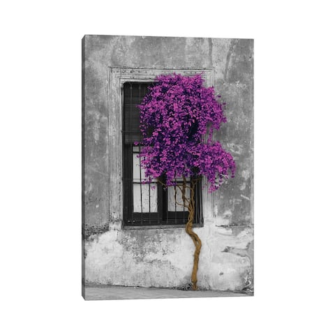 iCanvas "Tree in Front of Window Purple Pop" Canvas Print