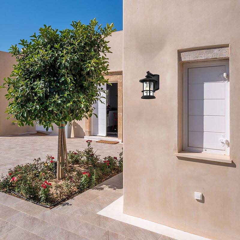 Belle 1 Light Transitional Outdoor Wall Lantern in 2 Pack
