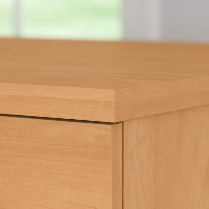 Bush Furniture Somerset 2 Drawer Lateral File Cabinet with Storage