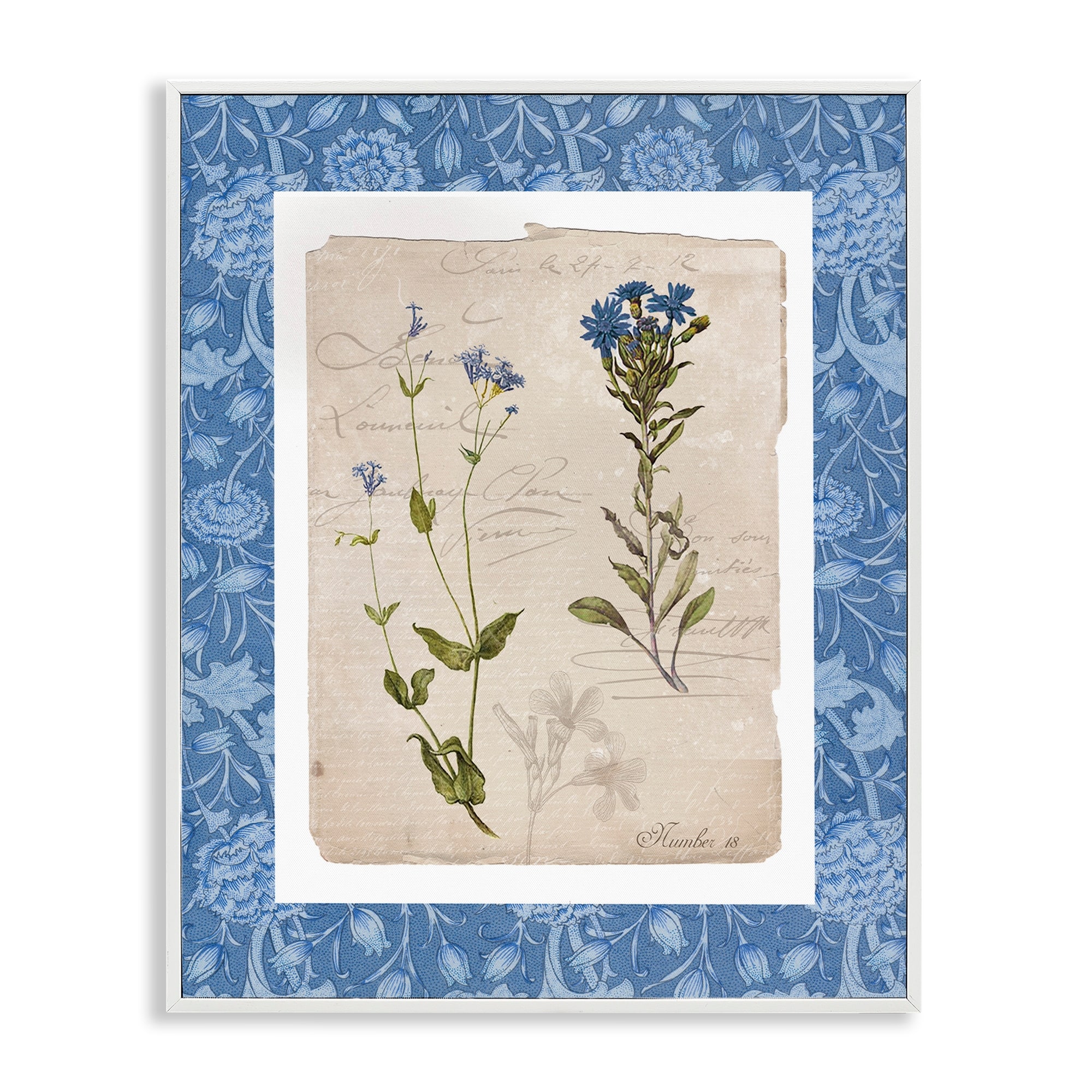 Stupell Blue Vintage Botanicals Framed Giclee Art Design By Livi Finn