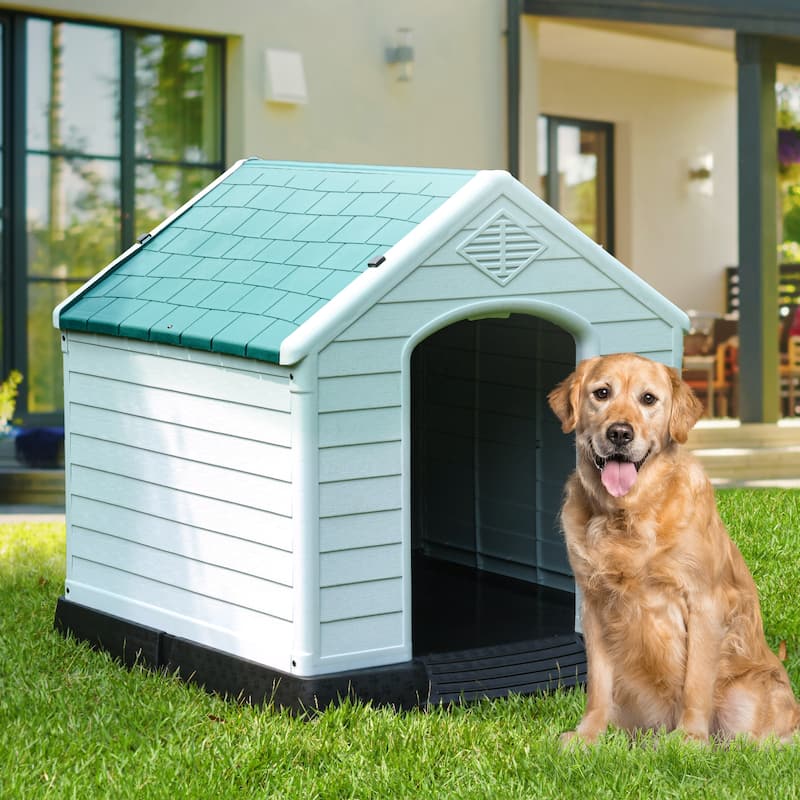 Moasis Plastic Dog House