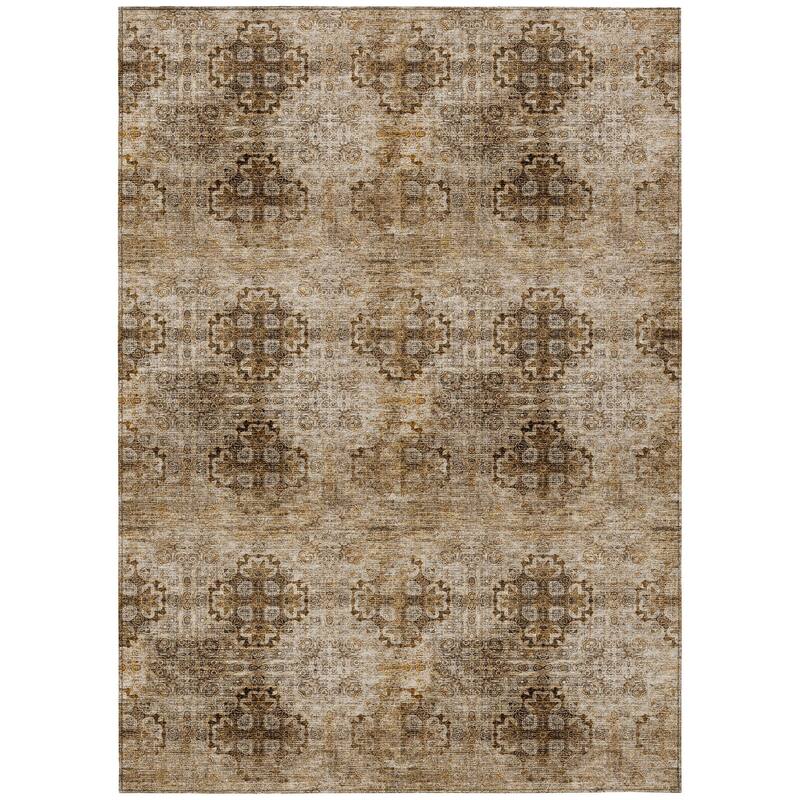 Machine Washable Indoor/ Outdoor Vintage Medallions Chantille Rug