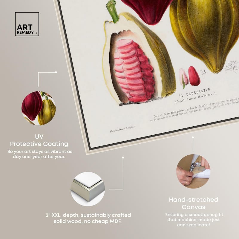 Cocoa Cacao by Etienne Denisse Canvas by Art Remedy
