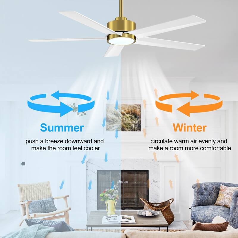 Breezary 65"/52"/42" 5-Blade LED Ceiling Fan with Light Kit and Remote