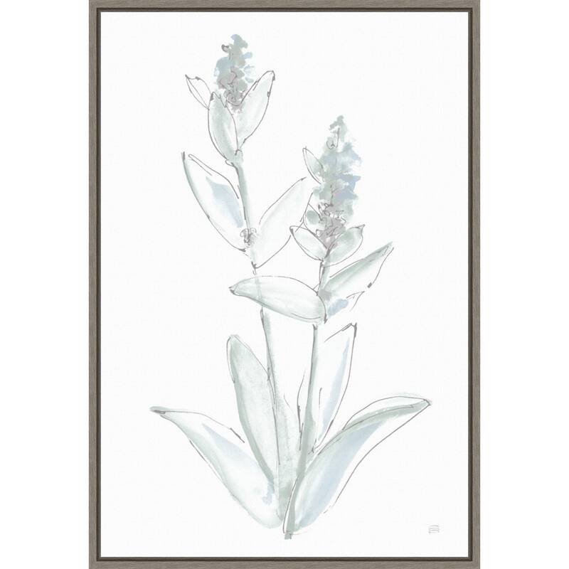 Lambs Ear Sage IV Bleached by Chris Paschke Framed Canvas Art - Grey
