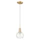 Option Clear / Champagne Bronze