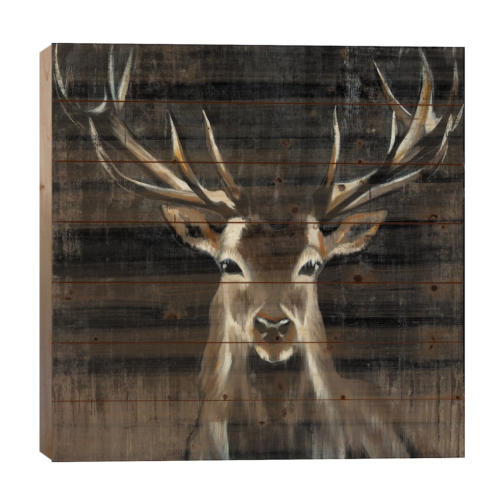 Young Buck Print On Wood by Liz Jardine - Multi-Color