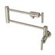 Option Polished Nickel
