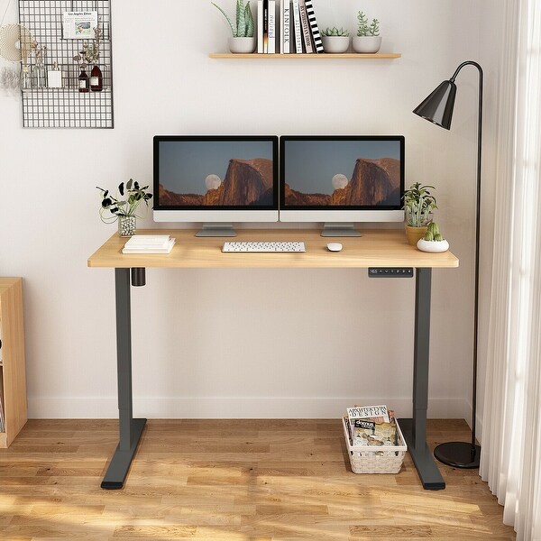FLEXISPOT 55 x 28 Home Office Standing Desk Electric Height