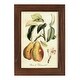 preview thumbnail 79 of 138, Printed Tuscan Fruits IV -Framed Print w/glass-Cherry Red 4x6 - Maple