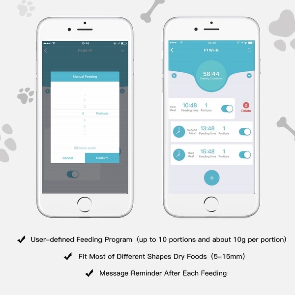 pet feeder app