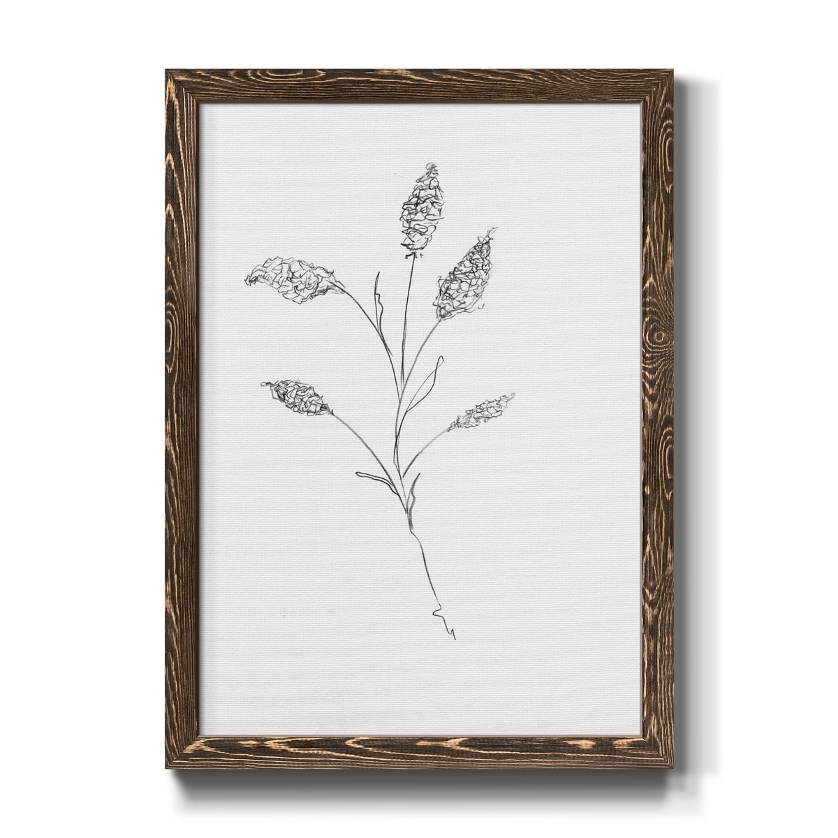 FLORAL SKETCH II-Premium Framed Print - Ready to Hang