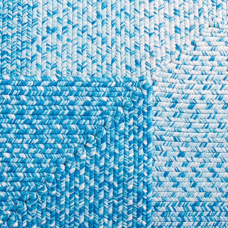 SAFAVIEH Handmade Braided Aubane Casual Rug