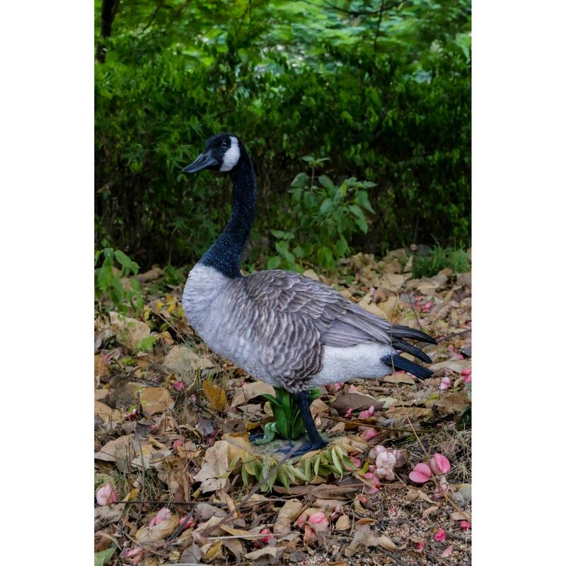Standing Canada Goose Statue