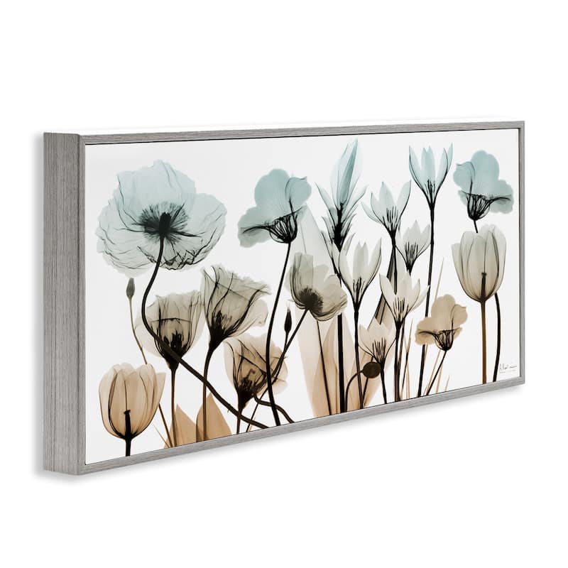 Stupell Mixed X-Ray Flowers Framed Giclee Art Design by Albert Koetsier