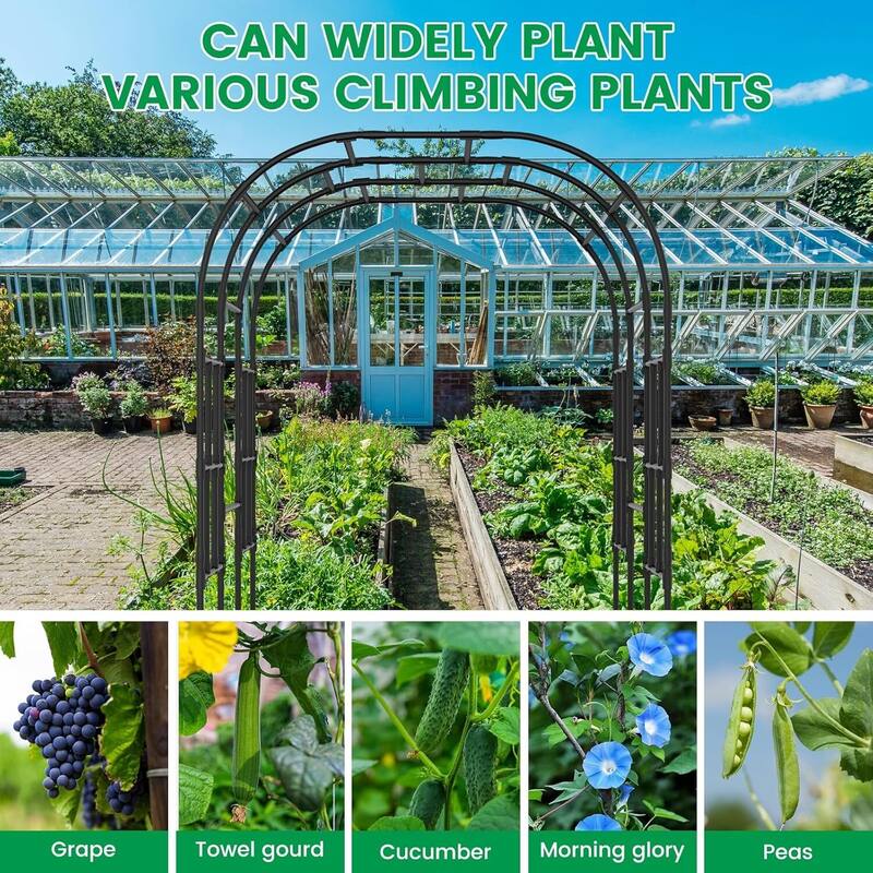 Garden Arch Trellis for Climbing Plants, Large Arch Arbor Trellis