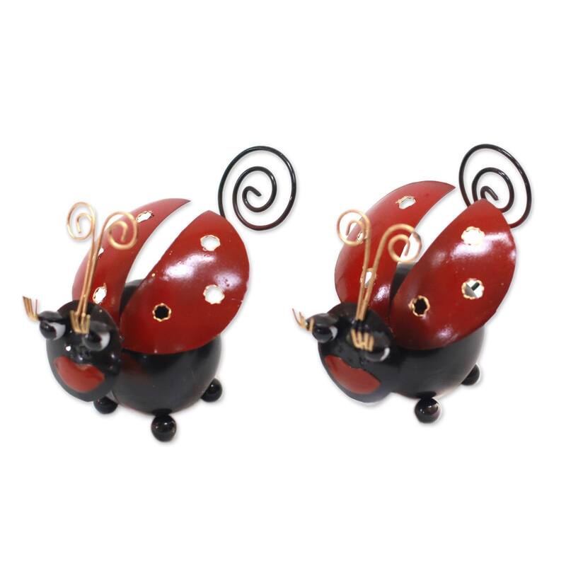 Novica Handmade Lady Bug Duo Steel Decorative Accents (Pair)