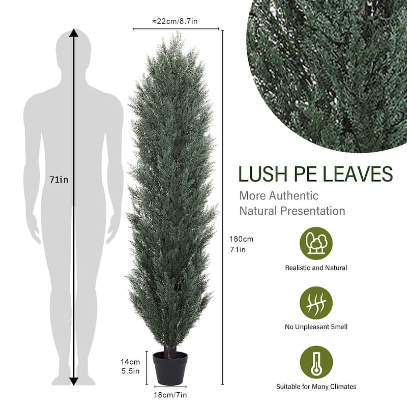 GDFStudio - Lucien Evergreen Artificial Pine Cypress Decorative Plant (Set of 2)